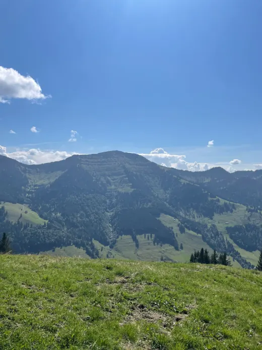 Blick auf die Berge über Almwiesen im Sommer