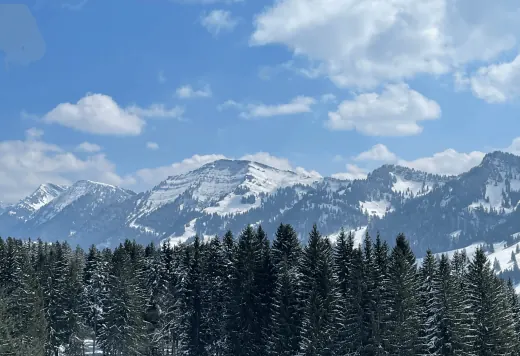 Verschneite Berge über dunklem Wald