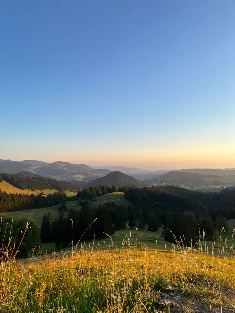 Abendlicht auf den Almwiesen mit Blick über das Tal