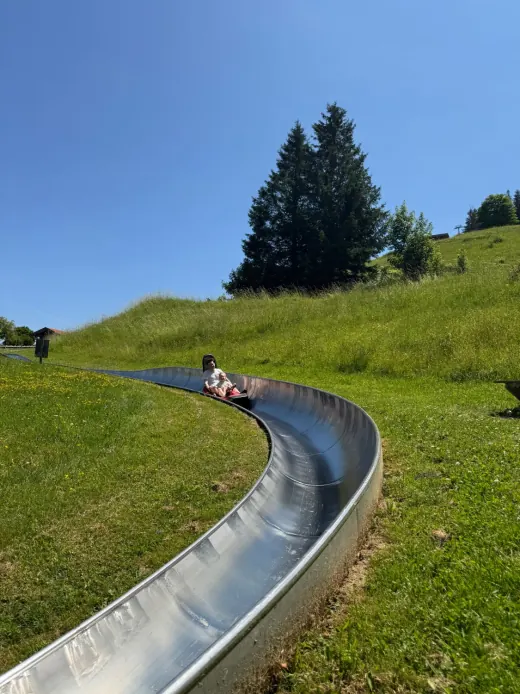 Fahrt auf der Sommerrodelbahn am Hündle