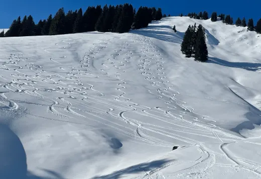 Spuren im Tiefschnee