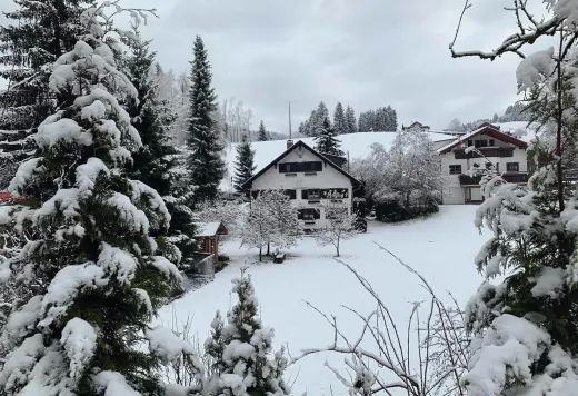 Verschneite Tannen