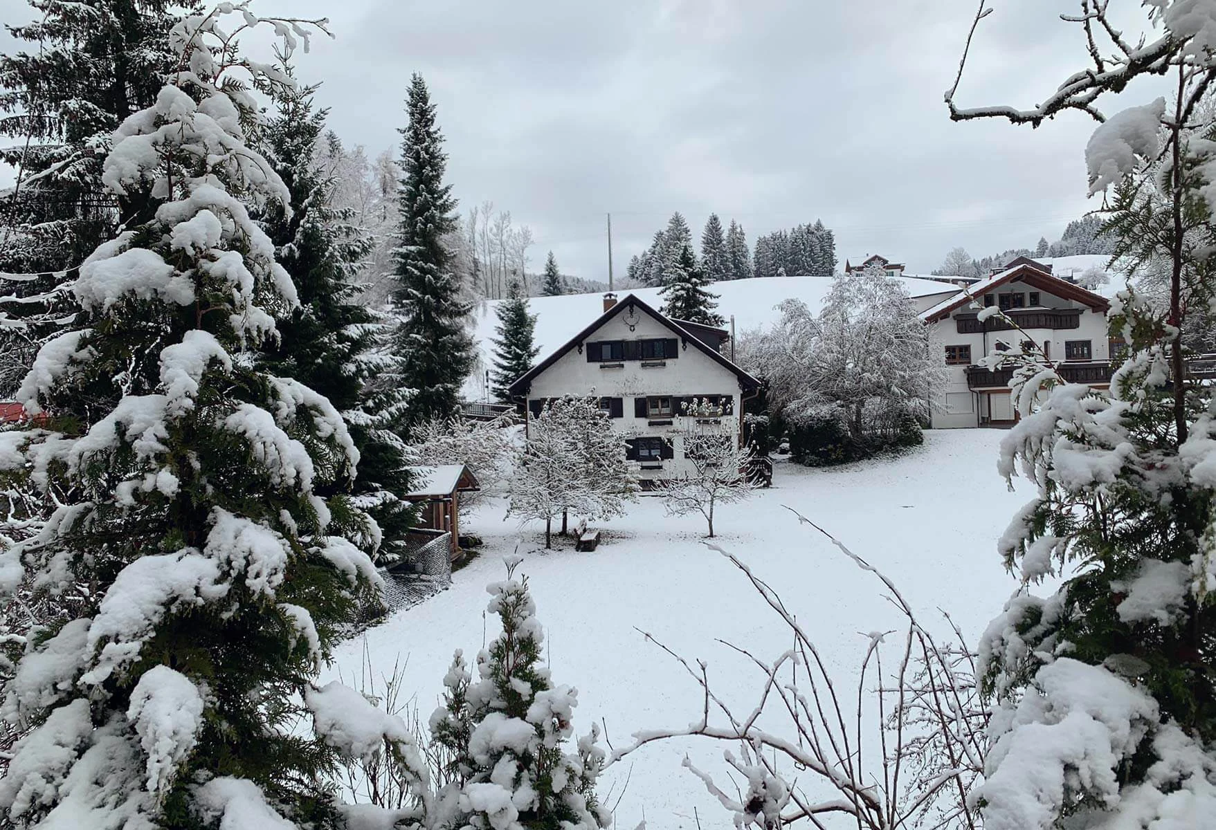 Das Bauernhaus im Winter mit verschneiten Tannen