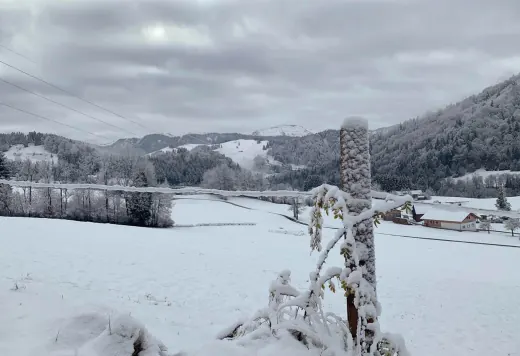 Schneetag im Tal